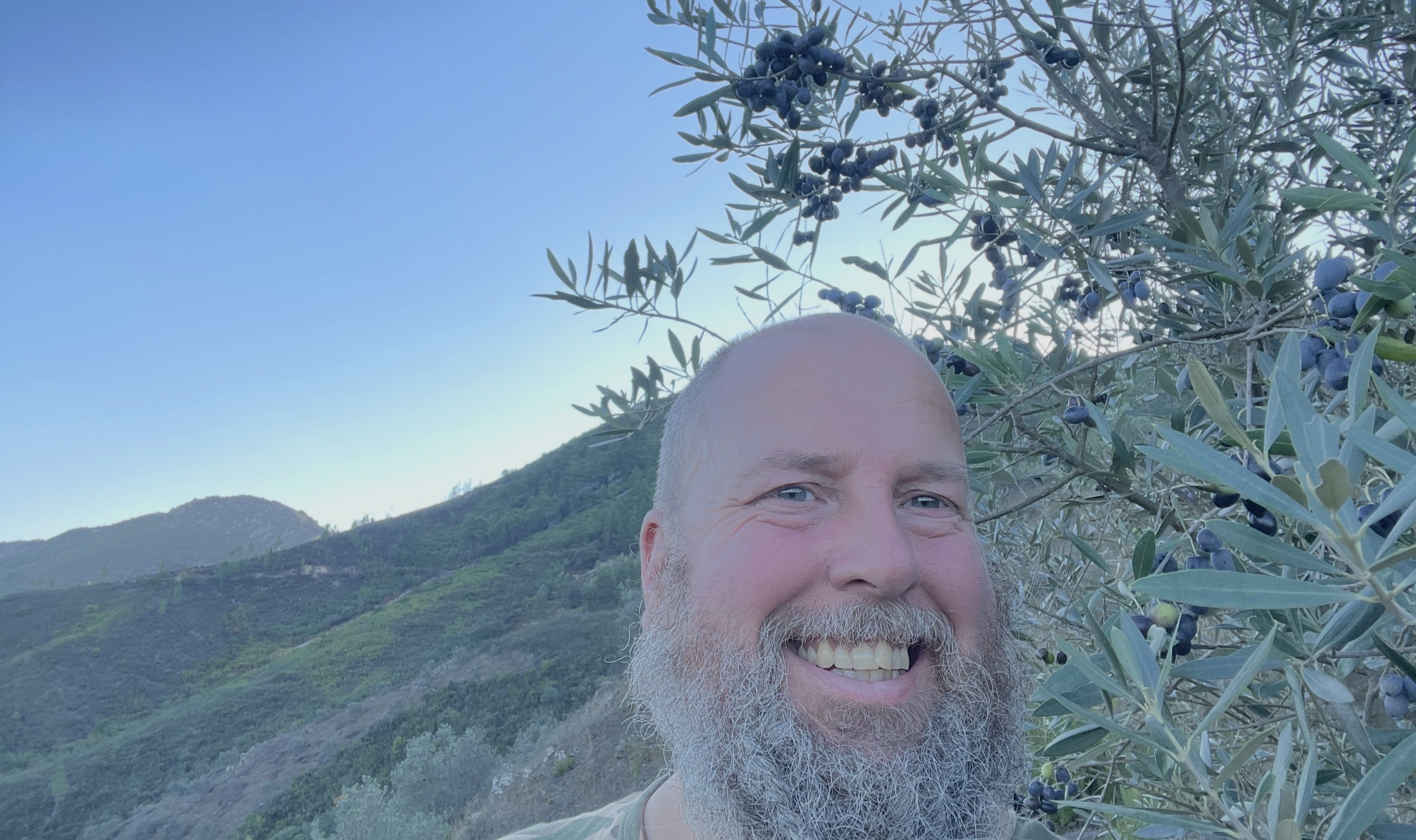 Olive farming on our mountain in Portugal
