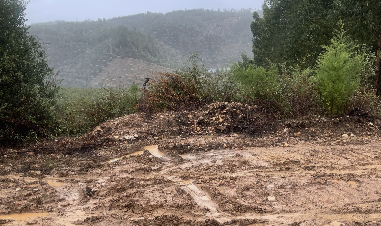 Tyre tracks baked into the mountain track years later