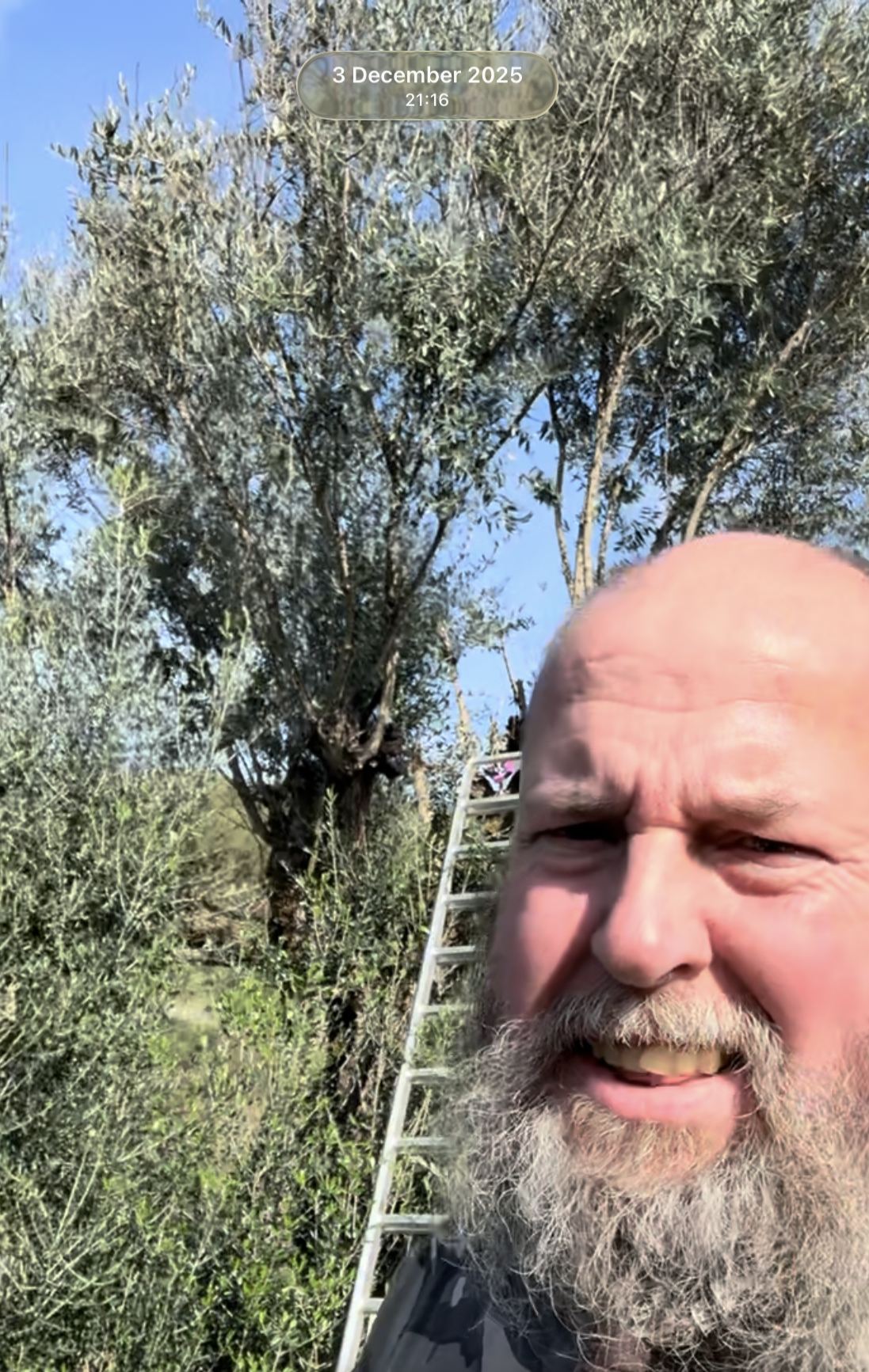 David beside one of the old olive trees on our mountain in Portugal