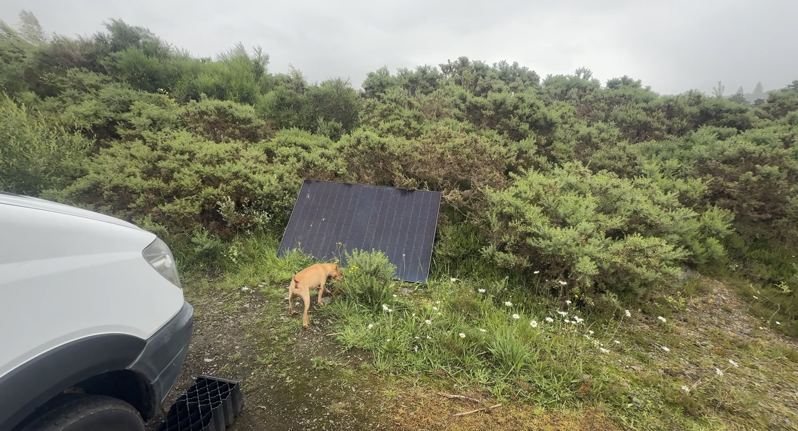 Our temporary solar panel setup among the rock rose on the mountain